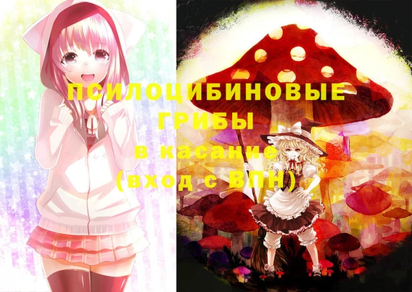спиды Беломорск