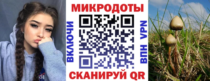Галлюциногенные грибы ЛСД  Комсомольск 
